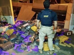 Carga de madeira mal acondicionada escondia mais de 5 toneladas de maconha no Paraná
