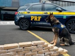 Em 8 meses e meio, PRF já apreendeu mais drogas do que em todo 2022 no Paraná