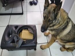 Polícia Federal apreende caixa de som recheada com maconha em rodoviária de Foz