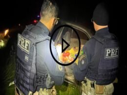 Após acompanhamento tático, PRF apreende carga de maconha em Guarapuava