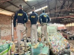 Caminhão com lâmpada queimada escondia mais de 2 toneladas de maconha no Paraná