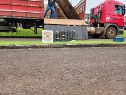 Apreendidas drogas em fundo falso de carreta