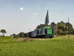 Nova Ferroeste: Avanços no licenciamento ambiental e rodadas internacionais