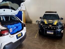 Apreendida mais de meia tonelada de maconha no Paraná