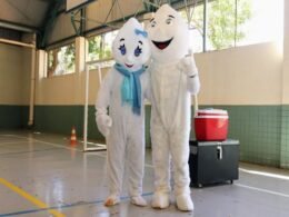 Foz do Iguaçu é selecionada para receber a vacinação contra a dengue