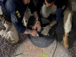 Apreendida cocaína escondida dentro de pneus de caminhonete no Paraná