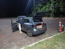 Homem tenta fugir da abordagem da PRF e é preso com 185 quilos de maconha em Santa Terezinha de Itaipu