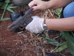 Em ranking com países do G20, Brasil tem terceira maior taxa de homicídio