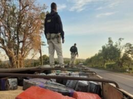 Apreendidas 2,5 toneladas de maconha escondidas em carga de soja no Paraná
