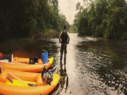 POLÍCIA FEDERAL INTENSIFICA FISCALIZAÇÃO AMBIENTAL NO PARQUE NACIONAL DO IGUAÇU