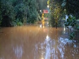 Vídeo: Rio Uruguai transborda em SC com acumulado de 202 mm em 24h