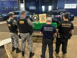 Preso motorista de veículo com fundo falso recheado de tabletes de maconha