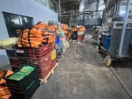 Foram incineradas mais de 8 toneladas de drogas apreendidas na região da Tríplice Fronteira