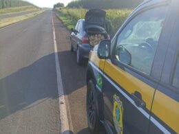 Presa mulher transportando 300 quilos de maconha no noroeste do Paraná