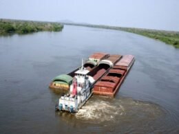Paraguai é o primeiro da América do Sul em volume de exportações no primeiro trimestre de 2024