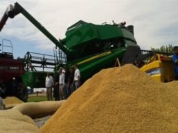 Paraguai continuará exportando arroz ao Brasil após enchentes no Rio Grande do Sul