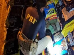 Apreenddidas mais de 7 toneladas de maconha no Paraná