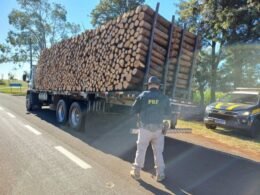 Flagra: caminhão transportando carga de madeira sem amarração no Paraná