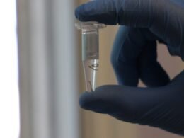 Foz do Iguaçu e Londrina terão nova tecnologia de combate à dengue