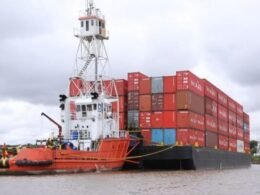 Paraguai: exportações no primeiro semestre de 2024 foram as maiores dos últimos cinco anos, com o Brasil ocupando o 2°lugar entre os principais destinos