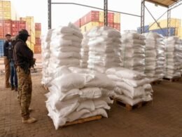 Paraguai: Cocaína apreendida representa prejuízo de US$ 240 milhões para o crime organizado