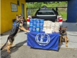 Presos líderes de uma organização criminosa que atuava no tráfico de drogas entre o Brasil e Paraguai