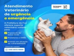 Prefeitura de Foz oferece atendimento veterinário de urgência e emergência gratuito