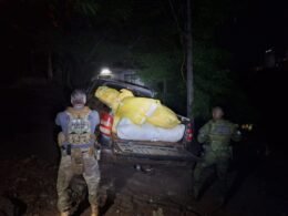 Apreendidos 100Kg de capulho nas margens do Rio Paraná