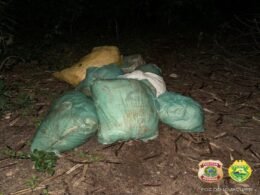 Apreendidos fardos de drogas nas margens do Rio Paraná