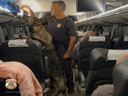 Passageiro é preso em flagrante com haxixe e anabolizantes em ônibus na BR-277