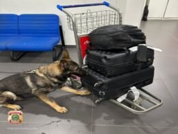 Adolescente é apreendida com drogas no Aeroporto de Foz do Iguaçu