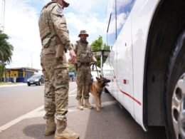 Apreendidos mais de 4 kg de haxixe em ônibus na BR-277, no Paraná