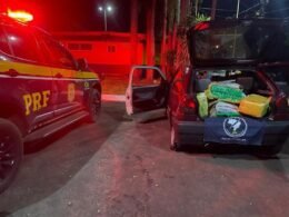 Fuga frustrada: PRF intercepta 200 quilos de maconha na BR-277