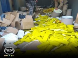 Apreendida quase meia tonelada de drogas em uma comunidade em Foz