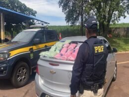 Apreendidos 90 mil comprimidos de ecstasy e faz 2ª maior apreensão da história do órgão