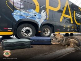 Operação em ônibus: PF apreende 40kg de maconha e prende quatro envolvidos com destino a São Paulo