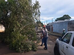 Foz terá apoio do Estado para atendimento a estragos causados pelas chuvas