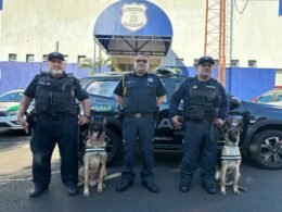 Unidade K9 volta a reforçar o patrulhamento em Foz