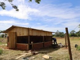 Itaipu alinha projeto de galinheiros indígenas com foco em segurança sanitária