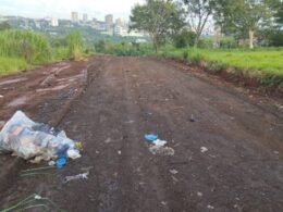 Prefeitura limpa, moradores sujam: 78 toneladas de lixo removidas na Vila Portes e problema persiste
