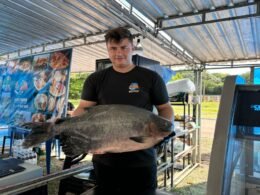 18ª Feira do peixe de Foz une gastronomia, tradição e diversão para toda a família