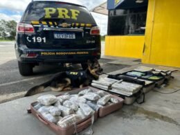 Apreendidos mais de 120 quilos de drogas em táxi na BR-277, em Balsa Nova (PR)