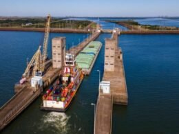 Indústria paraguaia acelera no mundo: 17 produtos estreiam em 16 novos mercados e alcançam US$ 6,9 milhões em exportações