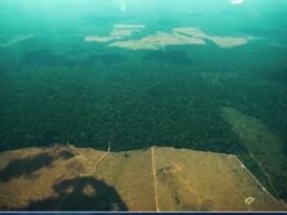 Degradação na Amazônia cresce 329% em quase 2 anos e atinge maior nível da série histórica