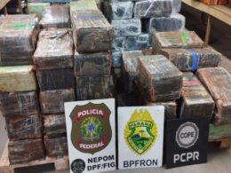 Apreendida quase uma tonelada de maconha em trilha na mata em Santa Helena