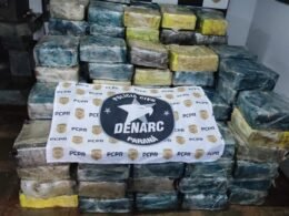 Apreendidas mais de 2,2 toneladas de maconha em Lindoeste