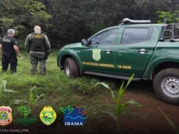 Operação no Parque Nacional do Iguaçu combate crimes ambientais e contrabando na fronteira com a Argentina