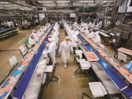 Agência do Trabalhador promove mutirão de vagas em parceria com a Lar Cooperativa Agroindustrial