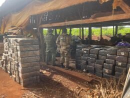 Apreendidas mais de 2,7 toneladas de maconha em galpão rural no Oeste do Paraná