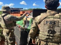 PRF encontra 50 mil maços de cigarros escondidos embaixo de carga de tijolos no Paraná
